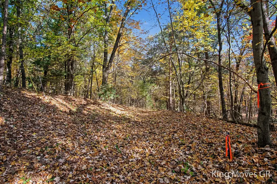 8747 Vergennes Street Se, Ada, MI 49301 - #2