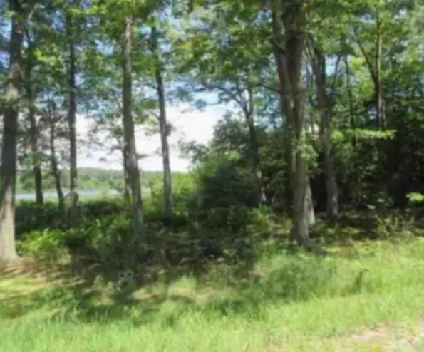 Palm Drive, Spring Lake, MI 49456