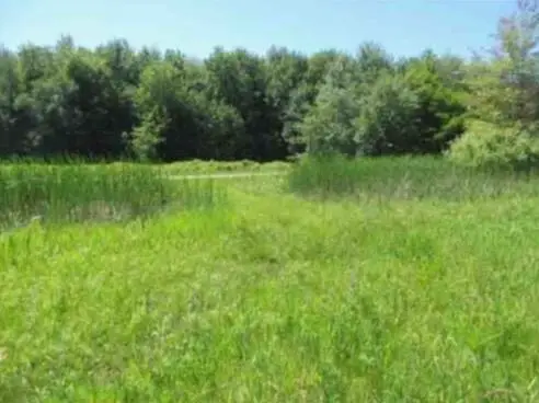 Palm Drive, Spring Lake, MI 49456 - #2