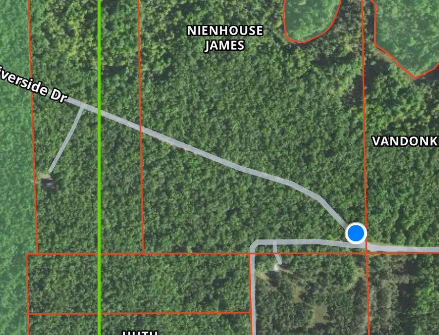 9157 E Riverside Drive, Irons, MI 49644 - #3