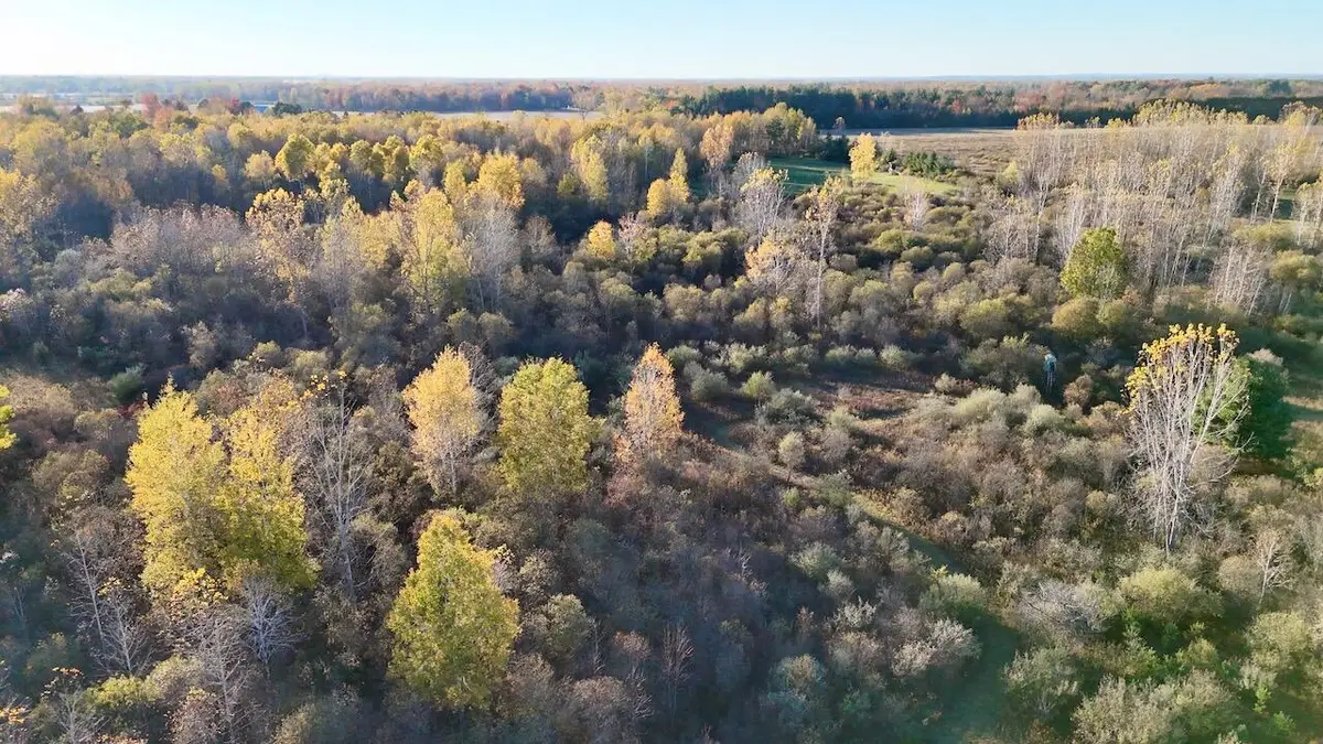 4292 W Curtis Road, Coleman, MI 48618 - #1