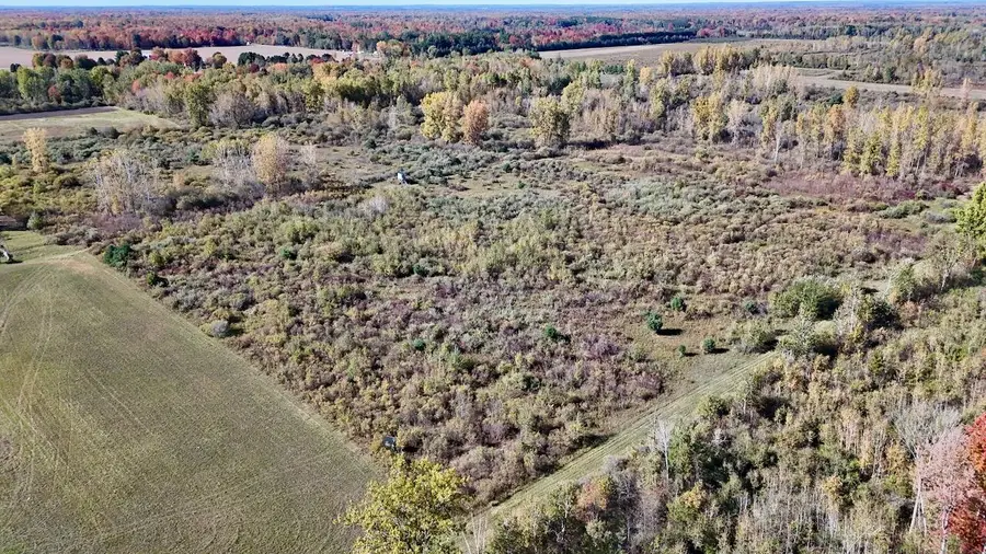 4292 W Curtis Road, Coleman, MI 48618 - #3