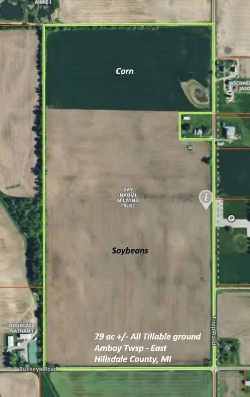13650 Tripp Road, Waldron, MI 49288