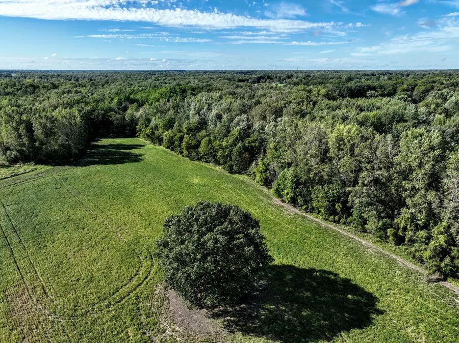 VL Flanders Road, Charlotte, MI 48813 - #3