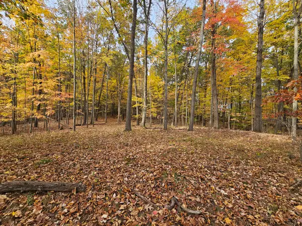 10068 Town Road, Parma, MI 49269
