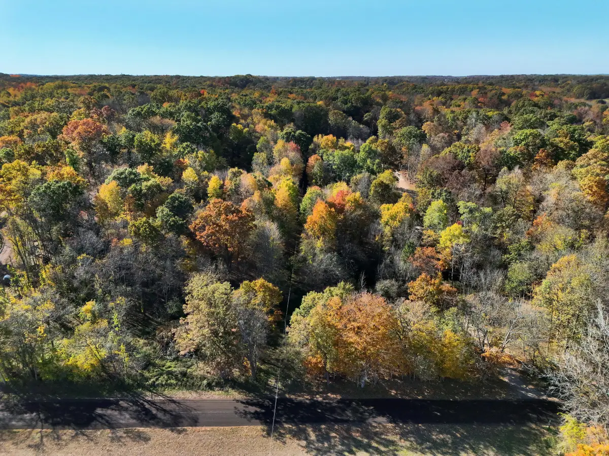 V/L Biggs Avenue Ne, Lowell, MI 49331 - #1