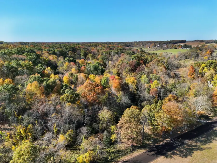 V/L Biggs Avenue Ne, Lowell, MI 49331 - #3