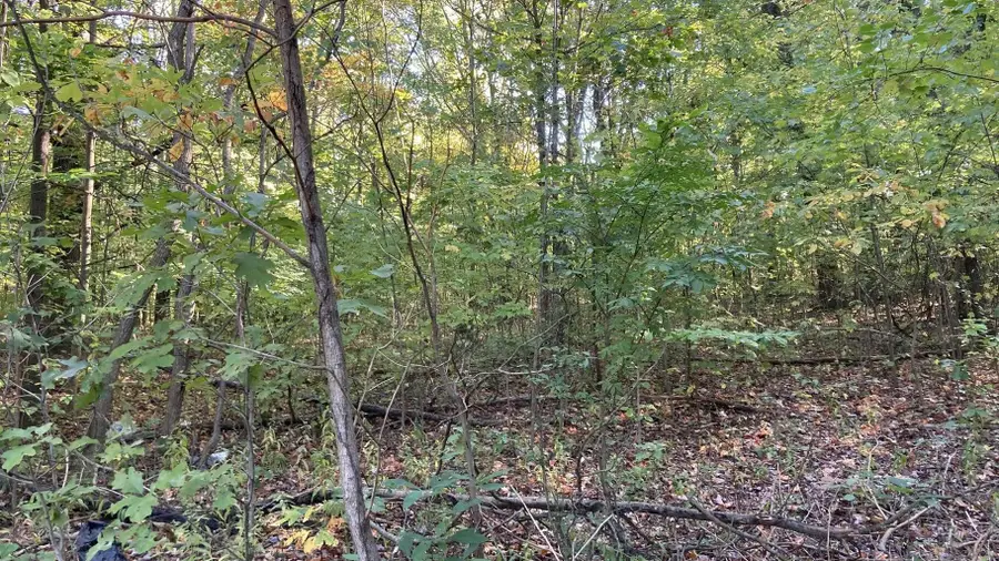 8th Avenue, Grand Junction, MI 49056 - #3