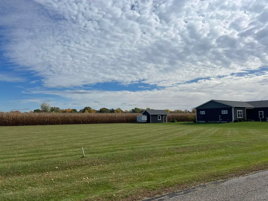 5000 Ricker Hwy Block, Lot 1, Blissfield Highway, Blissfield, MI 49228 - Image #2
