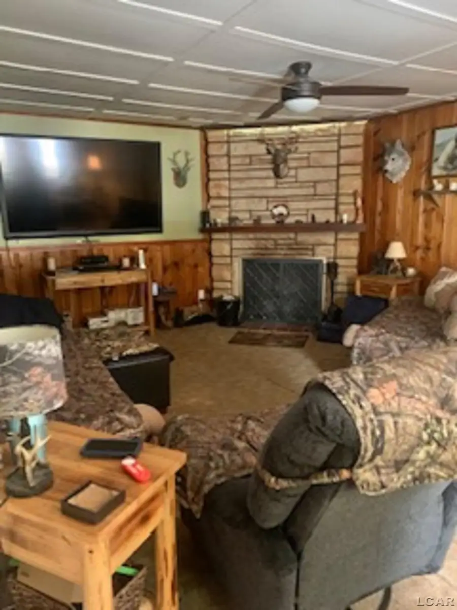 314 Whitney Avenue, Morenci, MI 49256 - Image #3