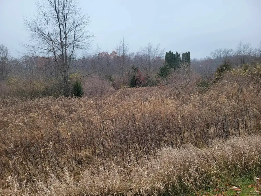 10140 Fairway Drive, Jerome, MI 49249 - Image #2