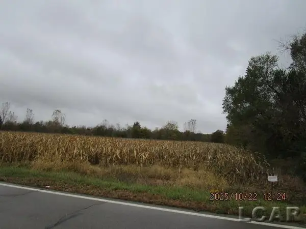 13002 Bartlett Road, Clinton, MI 49236