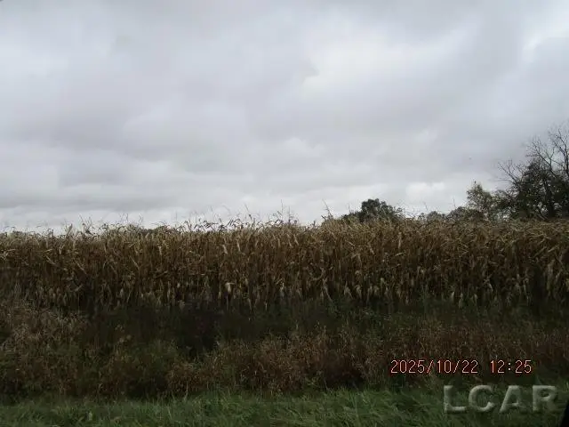 13001 BLK Bartlett Road, Clinton, MI 49236 - Image #3