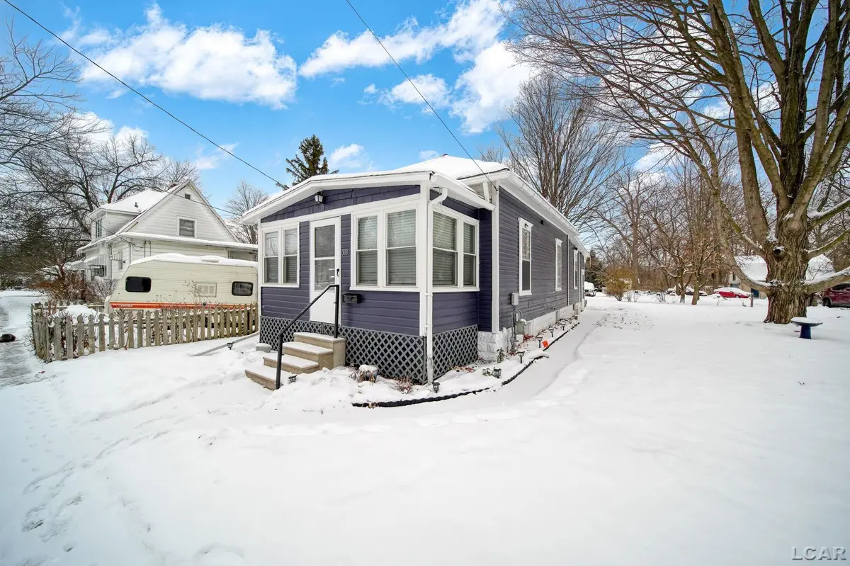 313 Rice Street, Adrian, MI 49221 - Image #1