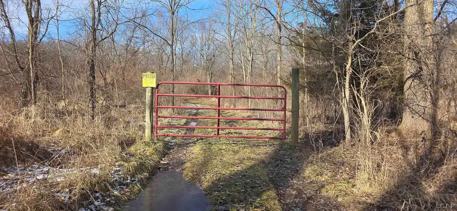 10000 BLK Sheeler Road, Onsted, MI 49265 - Image #3