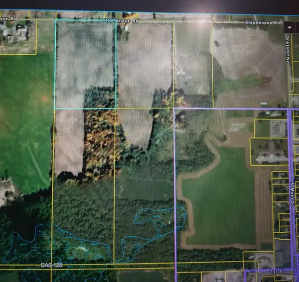 10000 Stephenson Rd Blk Road, Onsted, MI 49265