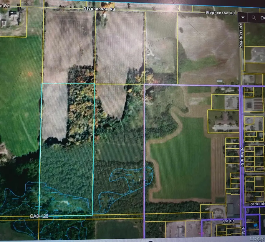 10000 Stephenson Rd Blk Road, Onsted, MI 49265 - #2