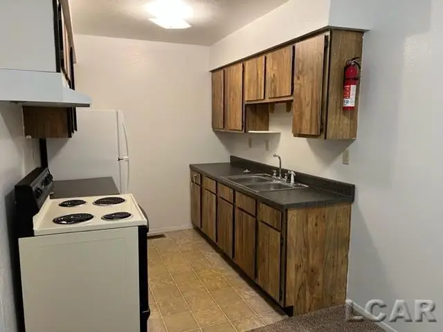 118 West Street, Hudson, MI 49247 - #2