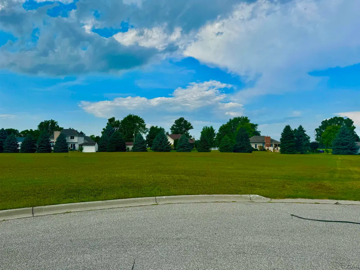 Lot 10 Whitehouse Court, Morenci, MI 49256 - #1