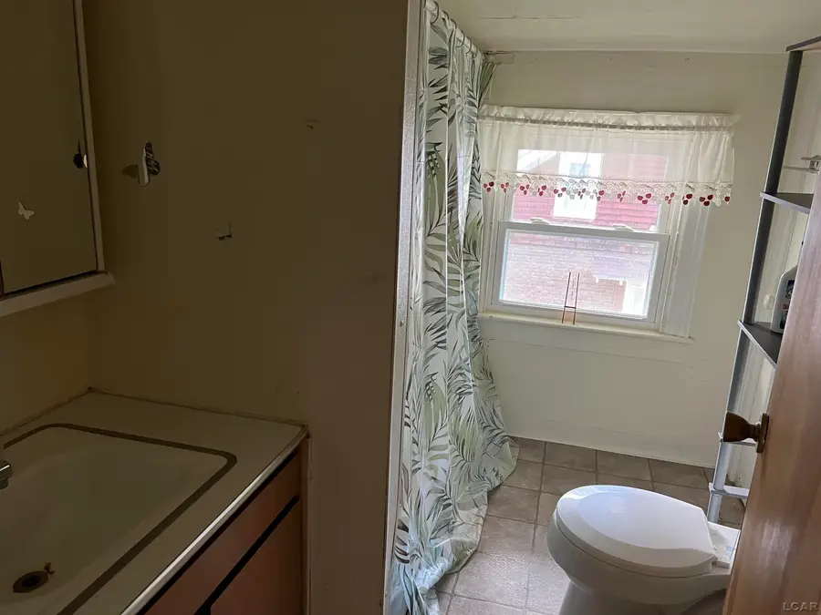 224 E Front Street, Adrian, MI 49221 - #2