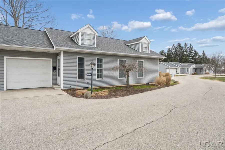 959 W Maumee Street, Adrian, MI 49221 - #3