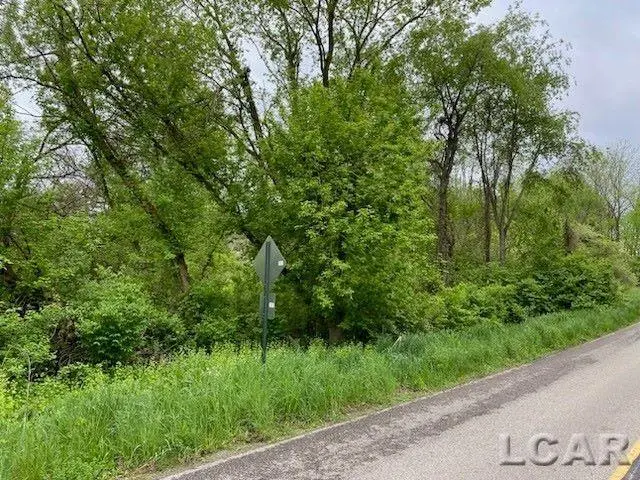 8000 BLK LOT 9 Stephenson Road, Onsted, MI 49265 - #1
