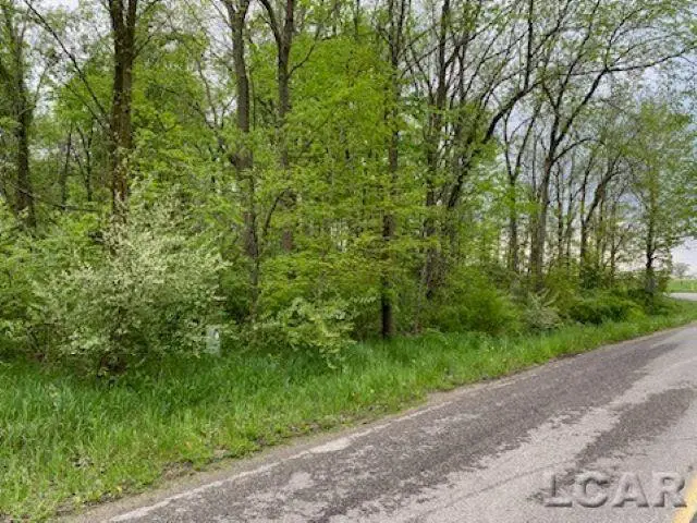 8000 BLK LOT 10 Stephenson Road, Onsted, MI 49265 - #1