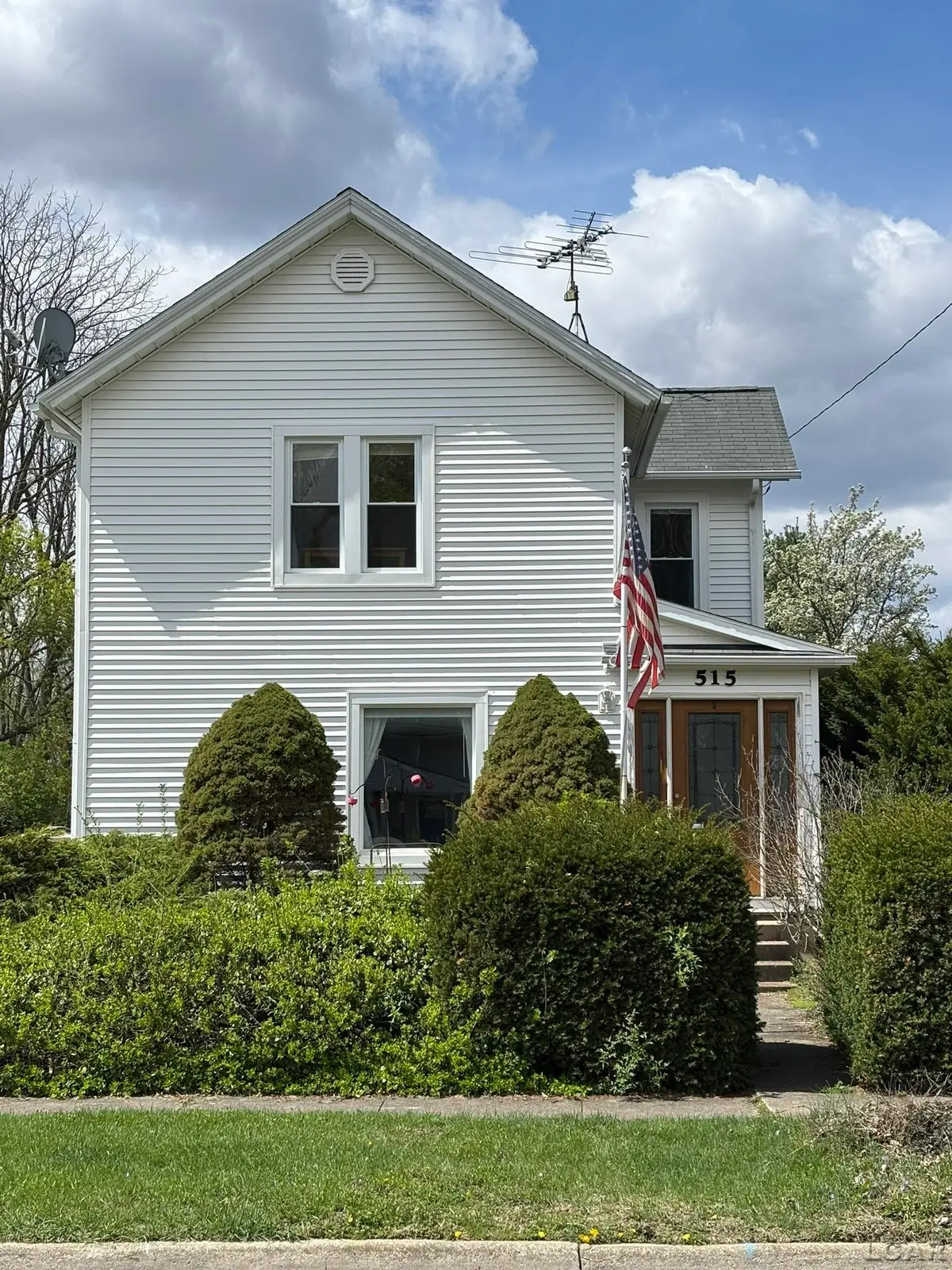 515 S Pearl Street, Tecumseh, MI 49286 - #1