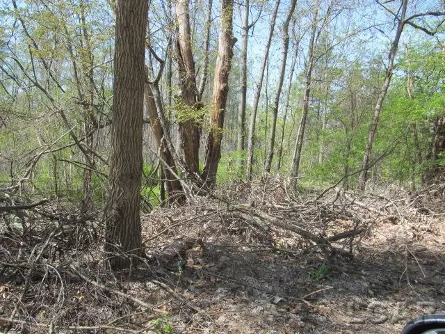 Fairview Avenue, Jackson, MI 49201 - #2