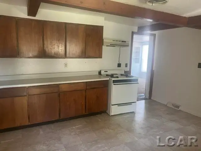 445 W Maumee Street, Adrian, MI 49221 - #3