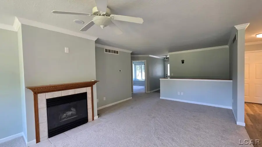 340 E Fourth Street, Onsted, MI 49265 - #3