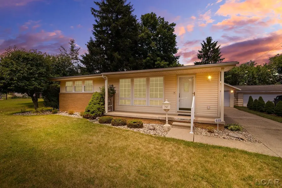 515 Nokomis Street, Tecumseh, MI 49286 - #3