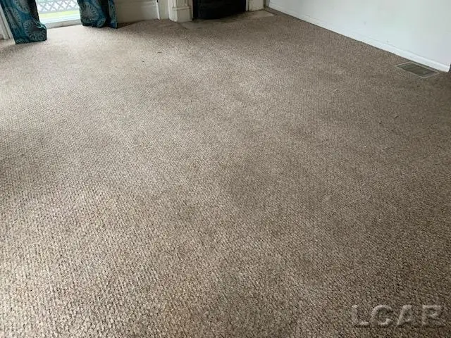 224 E Front Street, Adrian, MI 49221 - #3