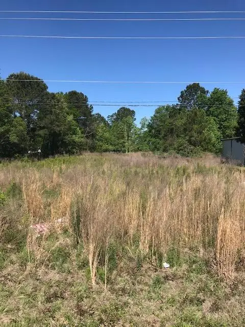 0 Hwy 17 South, Ravenel, SC 29470 - Image #3