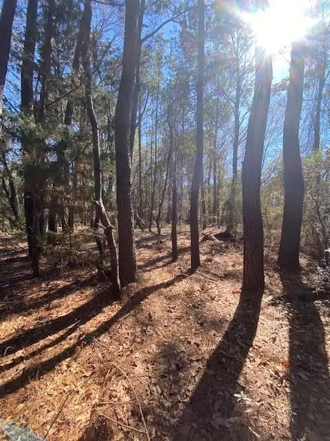 0 River Road, Johns Island, SC 29455 - Image #3