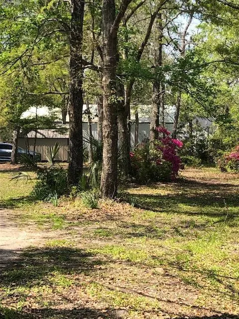 8111 Doar Road, Awendaw, SC 29429 - #2