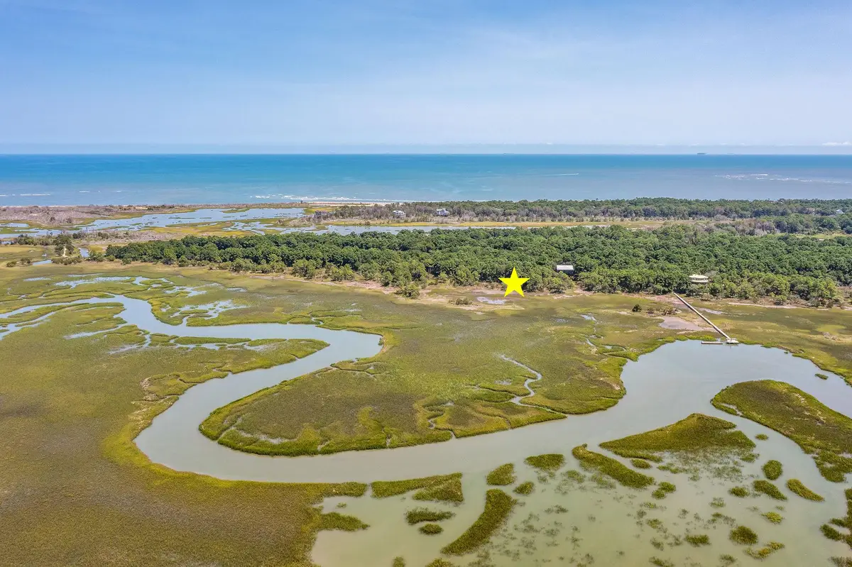 318 Old House Lane #Lot 109, Dewees Island, SC 29451 - #1