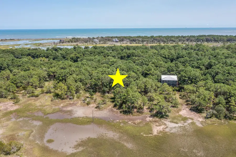 318 Old House Lane #Lot 109, Dewees Island, SC 29451 - #3