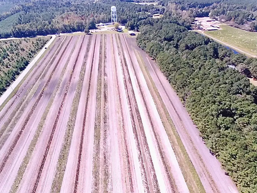 150 Second Chance Lane, Moncks Corner, SC 29461 - Image #2