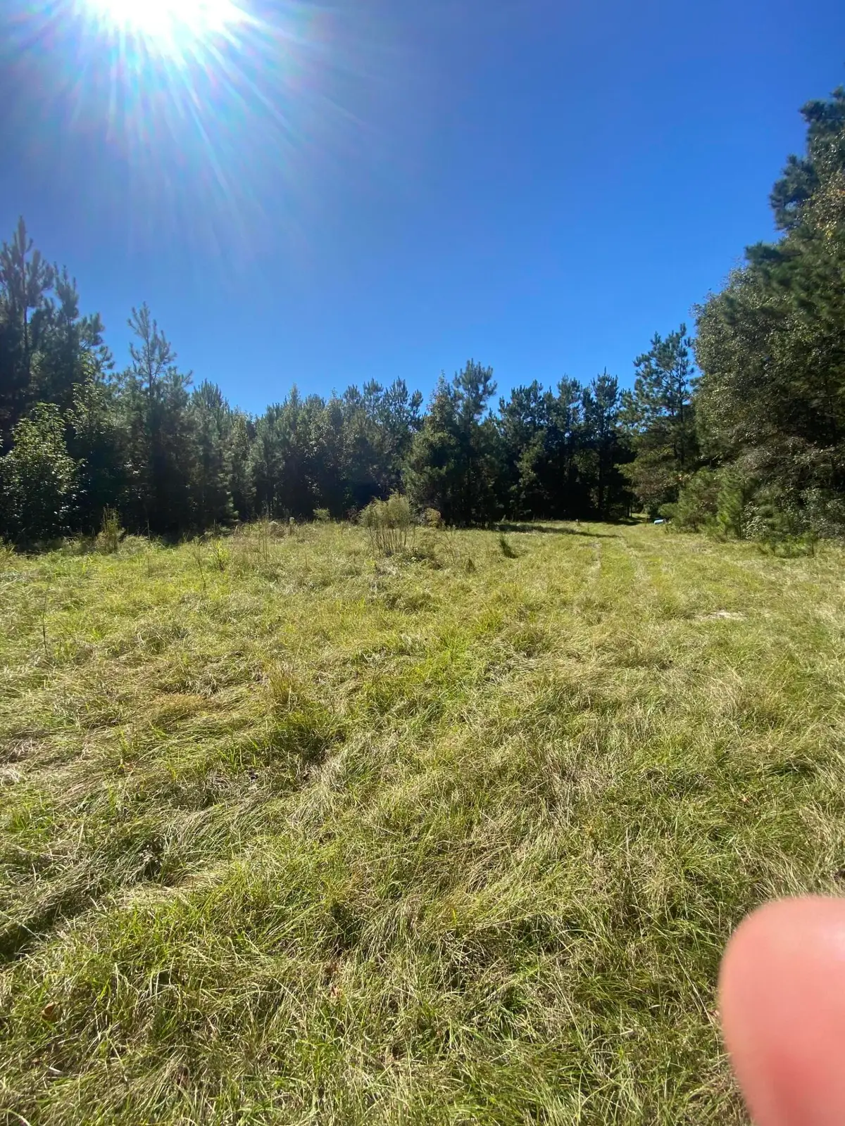 259 Interstate View Drive, Ridgeville, SC 29472 - #1