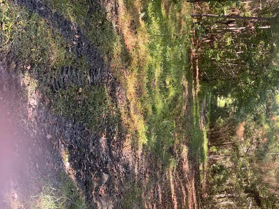 259 Interstate View Drive, Ridgeville, SC 29472 - #3