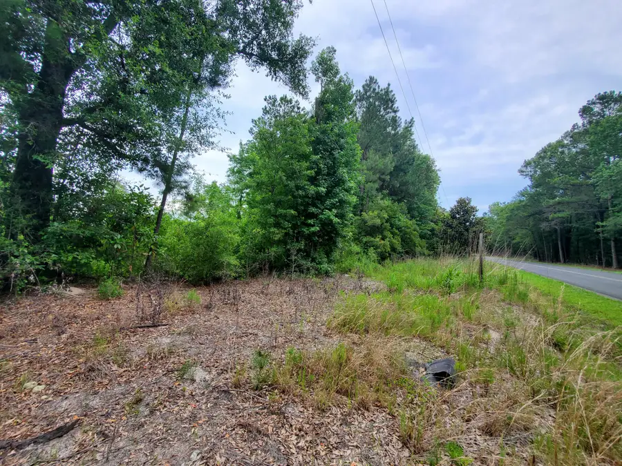 0 Second Texas Road, Saint George, SC 29477 - #2