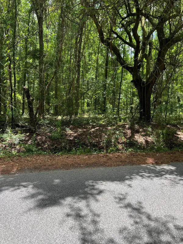 00 Cane Slash Road, Charleston, SC 29401