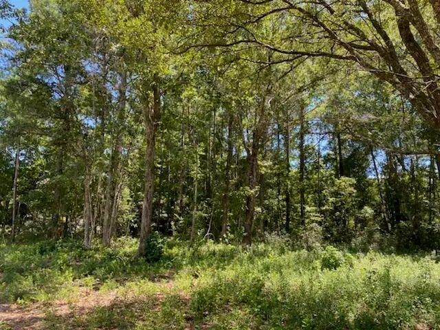 7214 Raw Dew Lane #Lot F, Awendaw, SC 29429 - #2