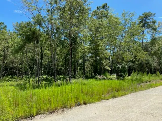 7214 Raw Dew Lane #Lot F, Awendaw, SC 29429 - #3