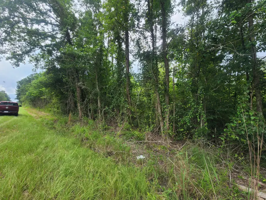 1 Freedom Road, Branchville, SC 29432 - #2