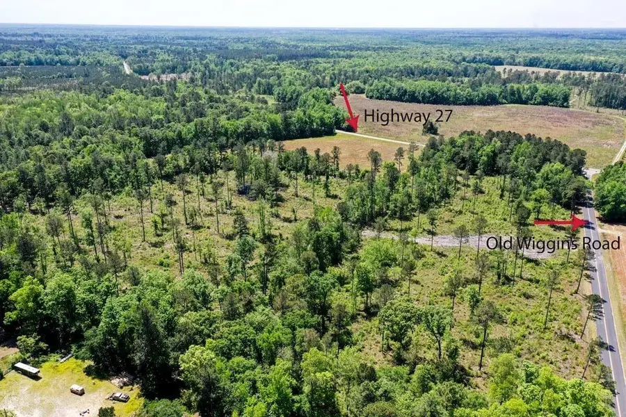 00 Old Gilliard Rd, Ridgeville, SC 29472 - Image #3