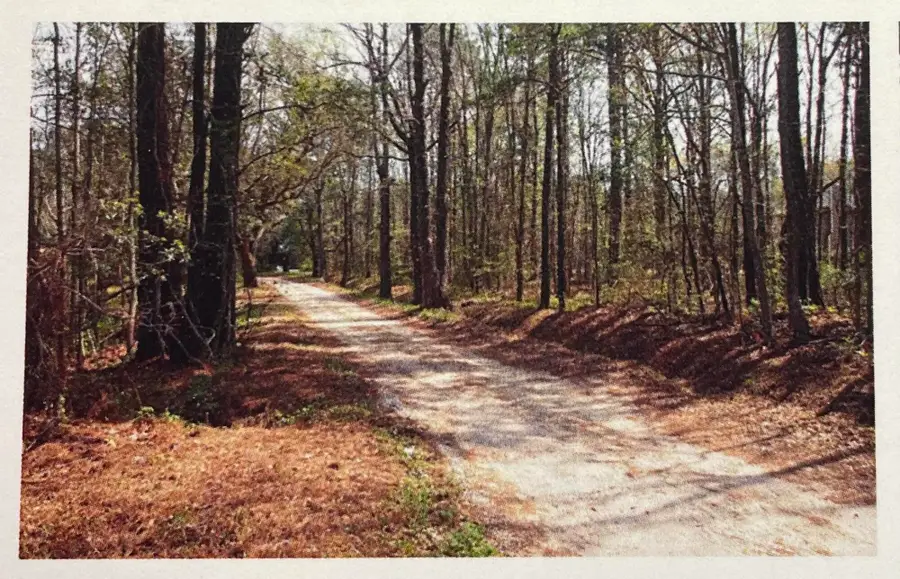 1690 Highway 41, Mount Pleasant, SC 29466 - #2