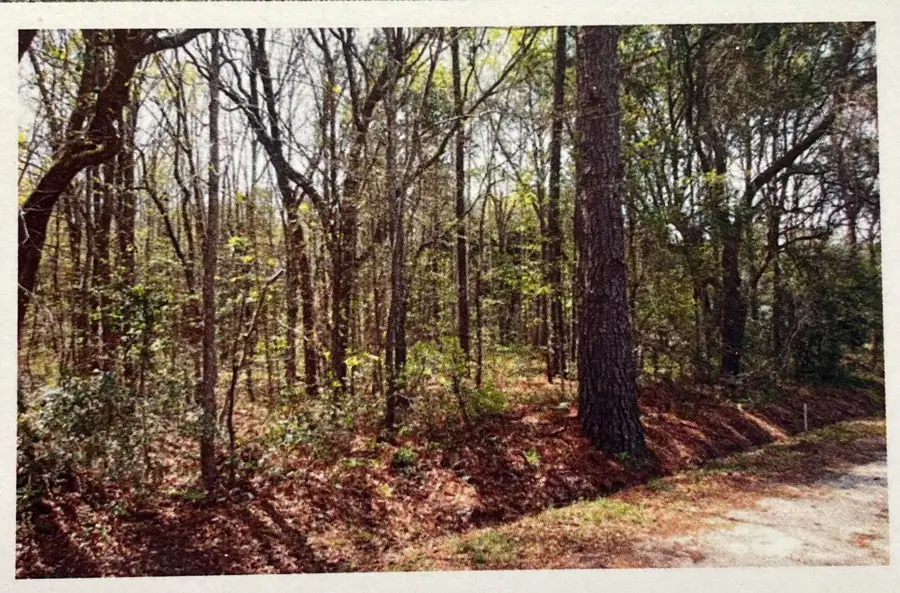 1690 Highway 41, Mount Pleasant, SC 29466 - #3