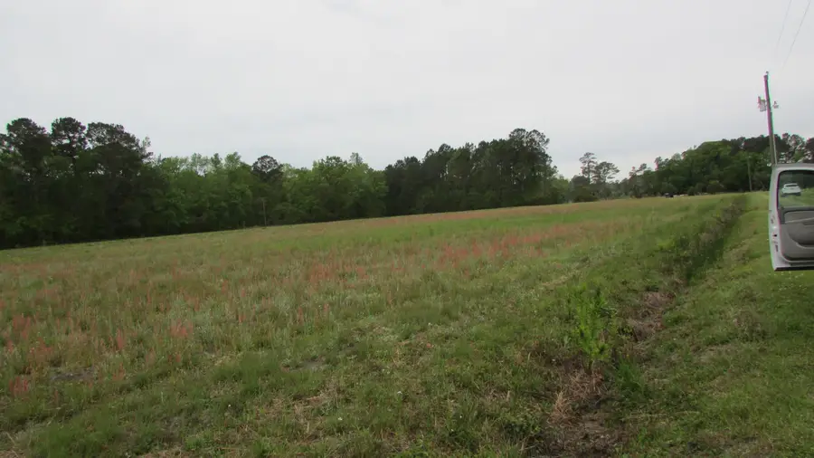 0 Benjamin Road, Johns Island, SC 29455 - Image #2